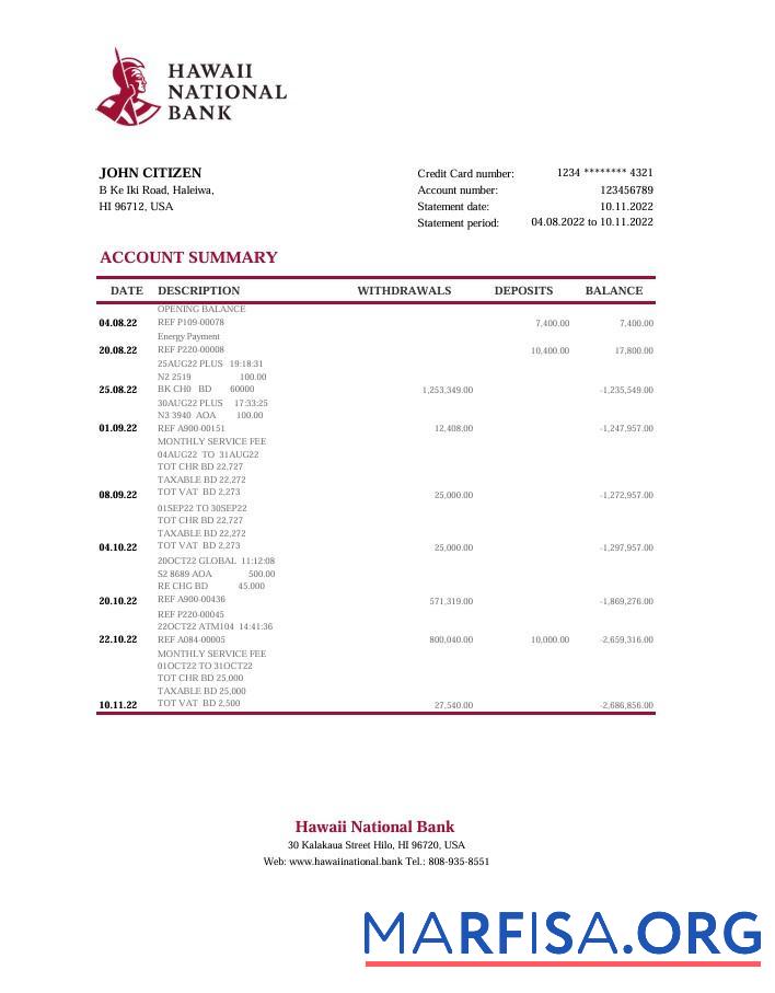 Downloadable Hawaii National bank statement excel real example